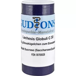 LACHESIS C 30 Gr.6 kroglice, 0,5 g