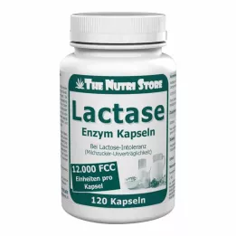 LACTASE 12.000 FCC Encimske kapsule, 120 kosov
