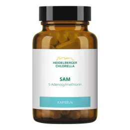 SAM S-ADENOSYLMETHIONIN kapsule, 60 kapsul