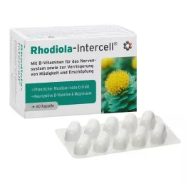 RHODIOLA-INTERCELL Kapsule, 60 kosov