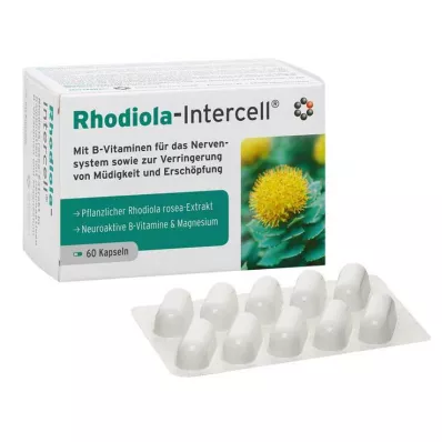 RHODIOLA-INTERCELL Kapsule, 60 kosov