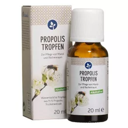 PROPOLIS TROPFEN brez alkohola, 20 ml