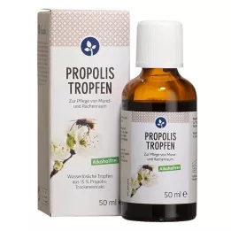PROPOLIS TROPFEN brez alkohola, 50 ml