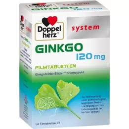 DOPPELHERZ Ginkgo 120 mg sistemske filmsko obložene tablete, 120 kosov