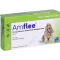 AMFLEE 134 mg spot-on raztopina za srednje velike pse 10-20 kg, 3 kosi