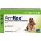 AMFLEE 134 mg spot-on raztopina za srednje velike pse 10-20 kg, 3 kosi