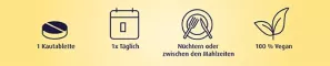 Instructions for use for Vitamin B12 500 µg pastile, 180 kos - 2