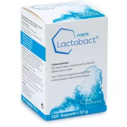 LACTOBACT Forte enterično obložene kapsule, 120 kapsul