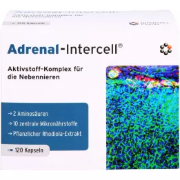 ADRENAL-Kapsule Intercell, 120 kapsul