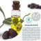 Free Oil Hydrolipid vlažilna krema, 50 ml
