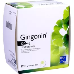 GINGONIN 120 mg trde kapsule, 120 kosov