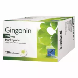 GINGONIN 120 mg trde kapsule, 120 kosov