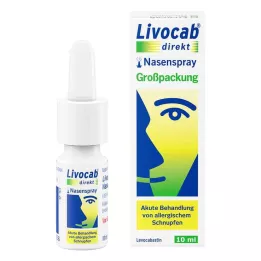 LIVOCAB Neposredno pršilo za nos, 10 ml