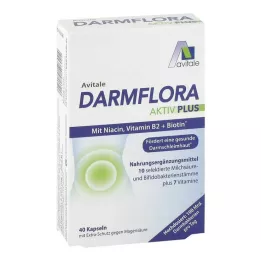 DARMFLORA Active Plus 100 milijard bakterij + 7 vitaminov, 40 kosov