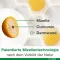 CURCUMIN-LOGES plus Boswellia kapsule, 60 kapsul