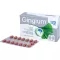 GINGIUM 120 mg filmsko obložene tablete, 60 kosov