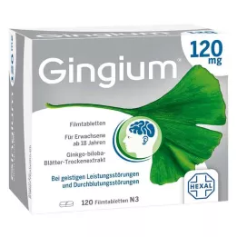 GINGIUM 120 mg filmsko obložene tablete, 120 kosov