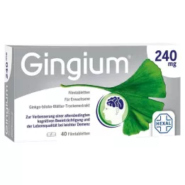 GINGIUM 240 mg filmsko obložene tablete, 40 kosov