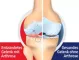 Instructions for use for GELENCIUM® artro kapljice, 100 ml - 2