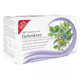 H&amp;S Filtrirna vrečka Gelenktee, 20X2,0 g
