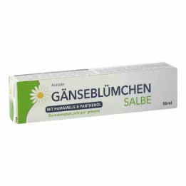 GÄNSEBLÜMCHEN Mazilo s čarovnico & Pantenol, 50 ml