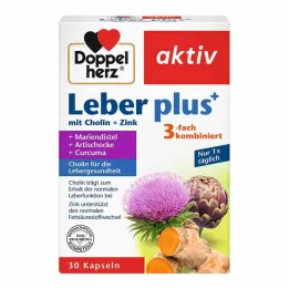 DOPPELHERZ Jetra plus s holinom in cinkom, 30 kapsul