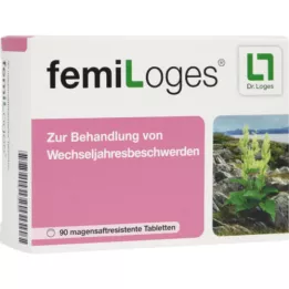 FEMILOGES enterične obložene tablete, 90 kosov