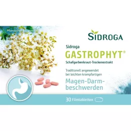 SIDROGA GastroPhyt 250 mg filmsko obložene tablete, 30 kosov