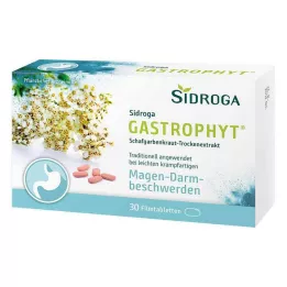 SIDROGA GastroPhyt 250 mg filmsko obložene tablete, 30 kosov