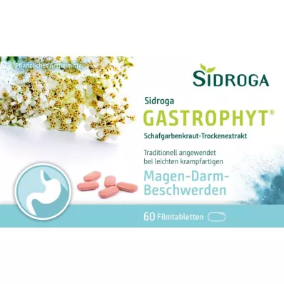 SIDROGA GastroPhyt 250 mg filmsko obložene tablete, 60 kosov