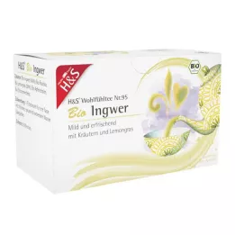 H&amp;S Filtrirna vrečka za organski ingver, 20X2 g