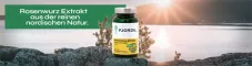 Instructions for use for Fjordil Rhodiola Rosea kapsule (90 kosov) - 1