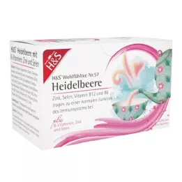 H&S Borovnica z B-vitaminoma cinkom in selenom, 20X2,5 g