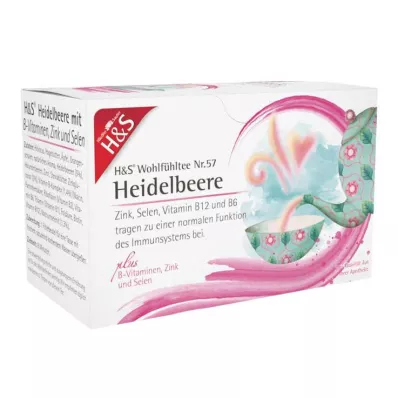 H&amp;S borovnica z vitamini B cink in selen Fsachet, 20X2,5 g