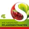 Dobensana Herbal Kirschgeschm.vit.c & Cinkova pastila.(16 kosov)
