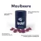 Ipalat Pastilles Flavor Edition Mulberry (40 kosov)