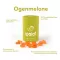 Ipalat Pastilles Flavor Edition Ogenmelon (40 kosov)