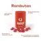 Ipalat Pastilles Flavor Edition Rambutan (40 kosov)