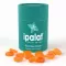 Ipalat Pastilles Flavor Edition Summer Mint (40 kosov)