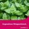 LINGUMELT akutne orodisperzibilne tablete, 12 kos