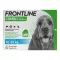 FRONTLINE COMBO proti klopom, bolham pri psih M (10-20 kg), 3 kom