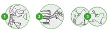 Instructions for use for FRONTLINE COMBO SPOT ON Mačka, 3 kos - 5