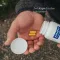 Pure Encapsulations Chondro aktivne kapsule, 60 kos