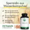 Green Naturals Spermidine 1,6 mg veganske kapsule, 240 kos