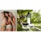 Plantana Olive Care kopel za prhanje z organsko oljko, 500 ml