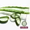 Plantana Aloe Vera Care kopel za prhanje z organsko aloe vero, 500 ml
